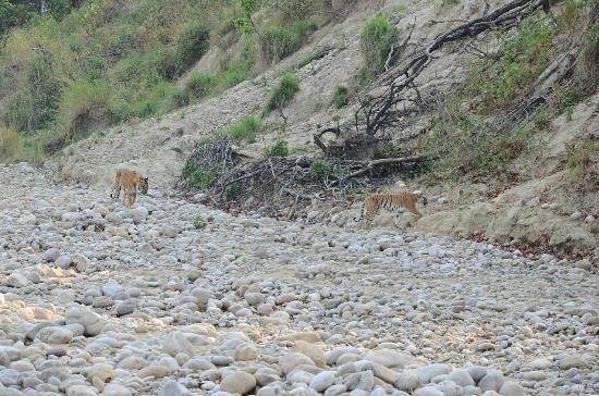 Jim Corbett Resort Rāmnagar Eksteriør bilde