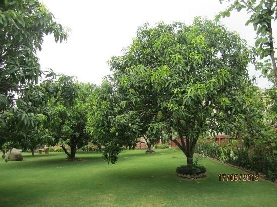 Jim Corbett Resort Rāmnagar Eksteriør bilde